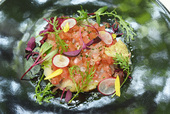 ジャパン・レストラン・ウィーク／フレンチレストラン『コジト』／真鯛とヒスイ茄子のカルパッチョ トマトのヴィネグレットで