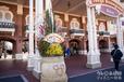東京ディズニーランド 2022年 正月