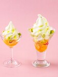 「春のフルーツと北海道ソフトの贅沢パフェ」＜期間：2026年1月17日〜5月6日＞【有名スイーツ店とのコラボパフェも食べ放題！「福岡サンパレス ホテル＆ホール」で2026年最初のパフェ食べ放題を開催！】