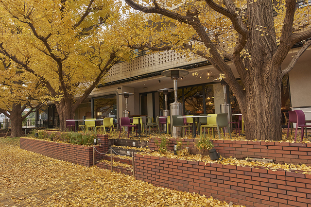 キハチ 青山本店