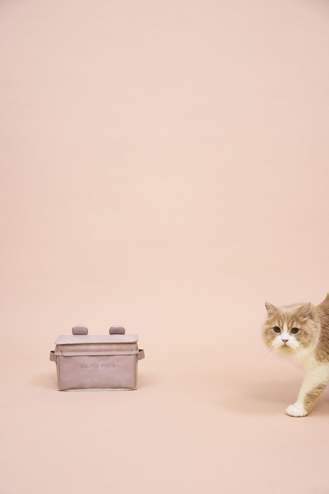 【GELATO PIQUE CAT＆DOG（ジェラート ピケ キャット＆ドッグ）】ベアモチーフペットシーツボックス：3,630円（税込）