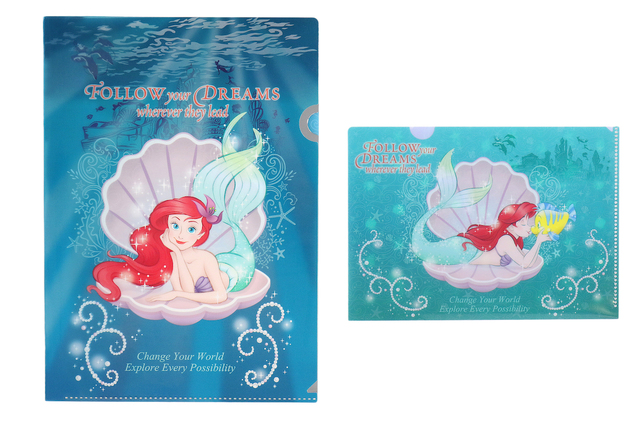 クリアホルダーセット　A4、A5　2枚セット 500円