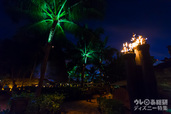 「アウラニ・ディズニー・リゾート & スパ コオリナ・ハワイ」の夜景