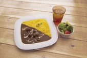 長野県産信州鹿肉ジビエカレー