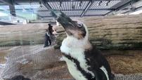 京都水族館