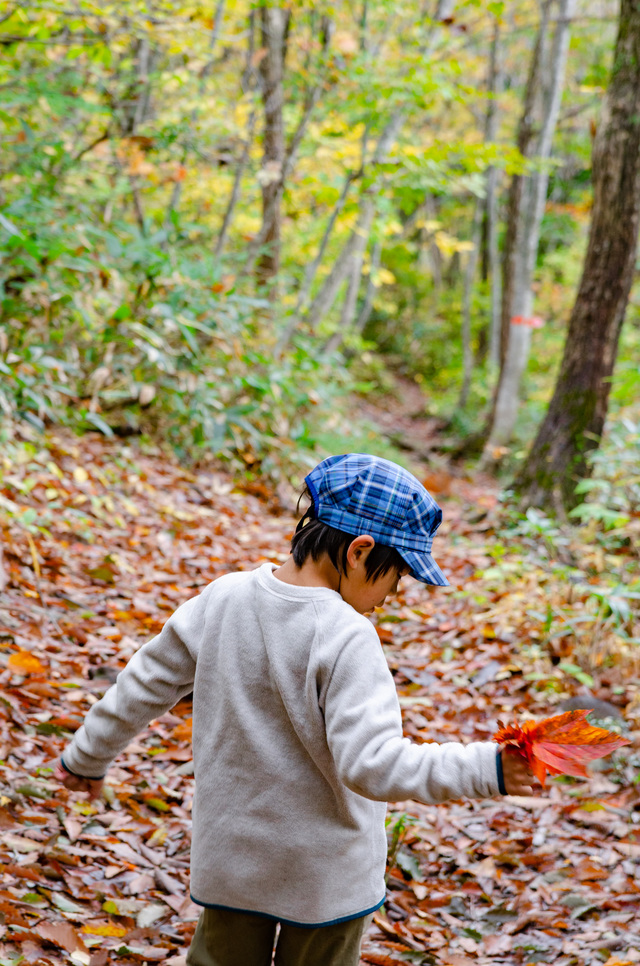 白馬岩岳「ねずこの森」 