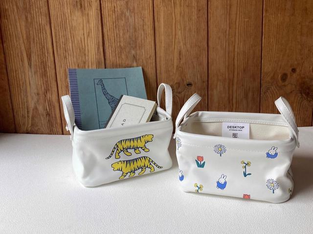 Pilier DESKTOP SQXS DickBruna