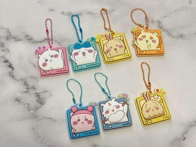 今回出会えた7種類。被りがなく良い戦績でした♪