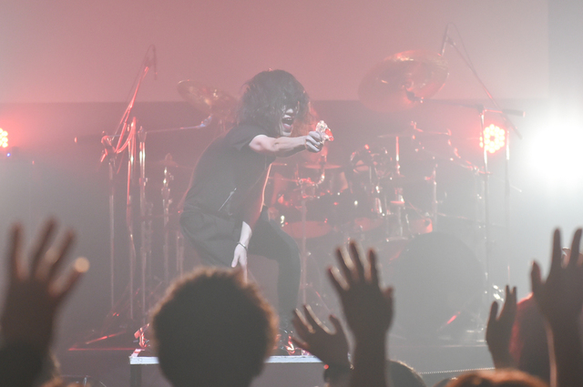 THE BLACK SWAN 樹/撮影・スズキメグミ