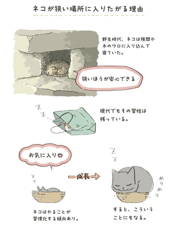 『ネコの気持ちがわかる50のポイント』より