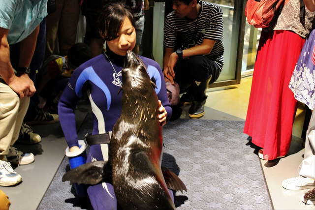 ぬるぬる＆にょろにょろな不思議ないきものたち