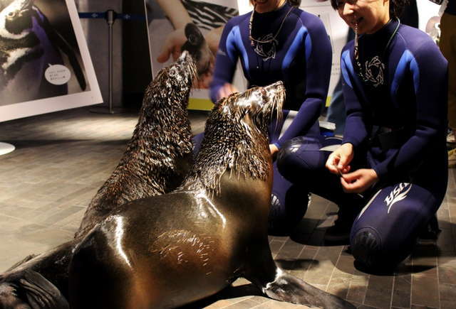 ぬるぬる＆にょろにょろな不思議ないきものたち