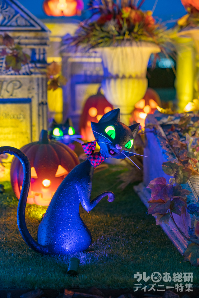 東京ディズニーランド「ディズニー・ハロウィーン」夜景(2018年)