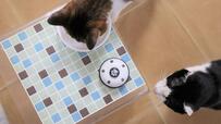 【ペット用コールベル】飼い主が音を鳴らした後にお皿におやつの「ちゅ～る」を入れます