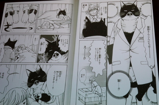 他にも漫画から図鑑まで、色々な本を紹介していただけました。