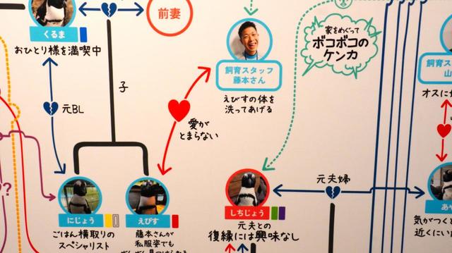 ペンギン相関図最新版でも、ここはずっと変わらない相思相愛ペア