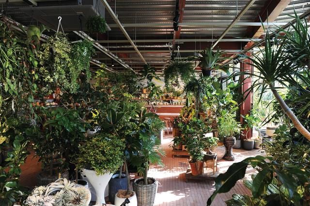 【兵庫・北野｜MINORI HILL｜GREEN'S FARMS】