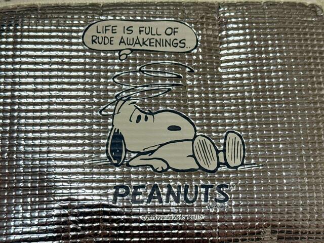 コミカルでかわいいスヌーピーのイラストプリント入りデザイン