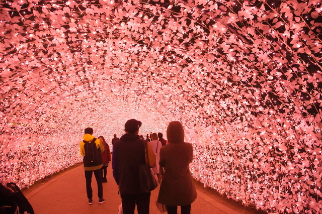 桜を思わせる優しいピンク色の光