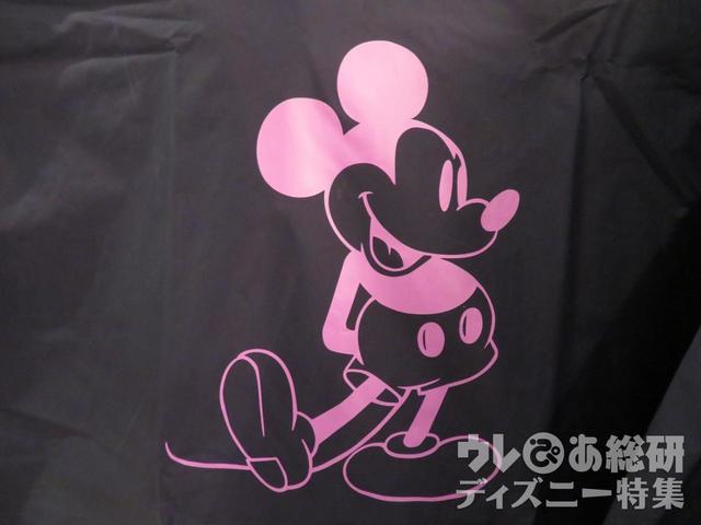 レインポンチョ