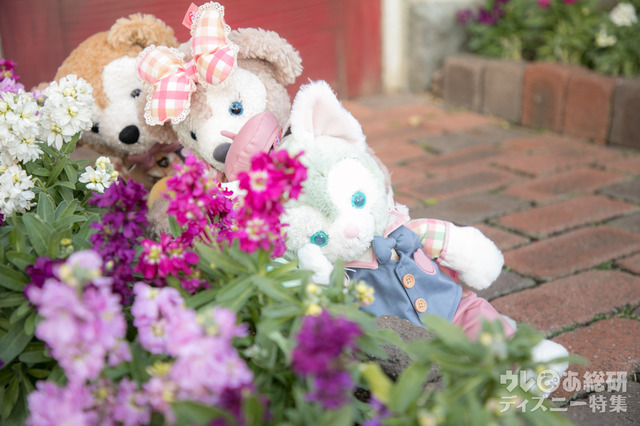 花壇のレンガに立てかけて、花と一緒に撮るのもかわいいのです。