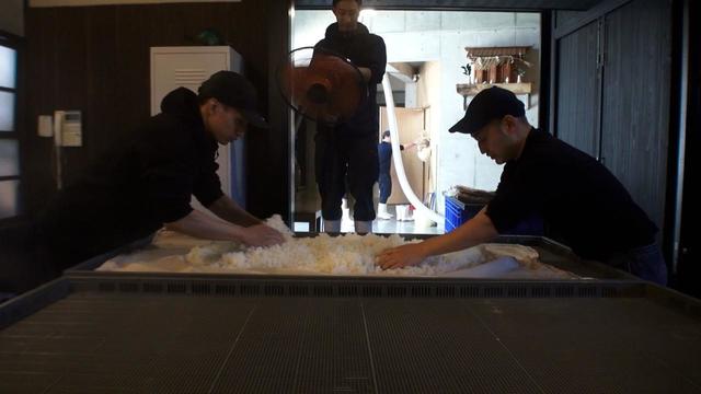 蒸した米を甑から出して広げ外気で冷却する放冷は新旧蔵の間で行う。