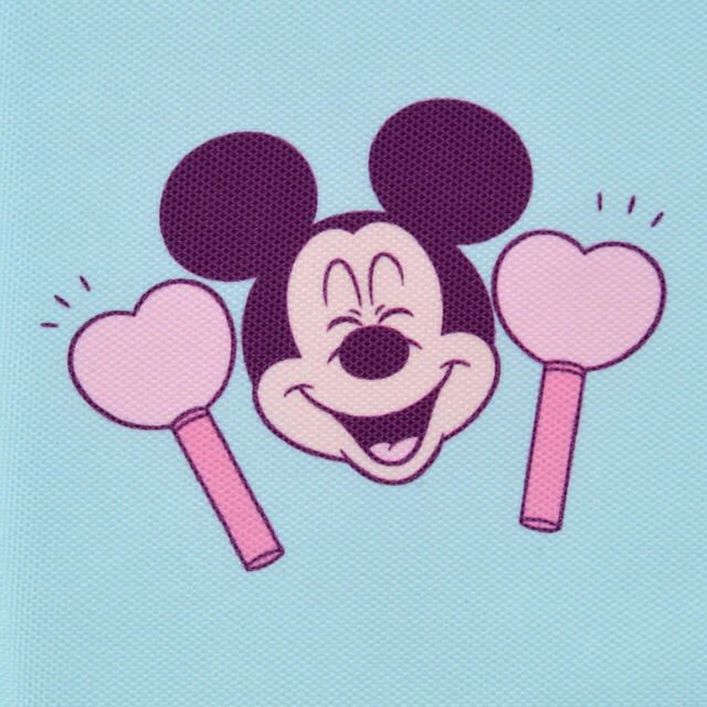 ミニー＆ミッキー シートクッション MINNIE DAY 2026 2,500円