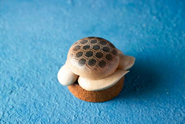 「ウミガメタルト」【ハイアット セントリック 銀座 東京 × すみだ水族館が「すみだ水族館コラボアフタヌーンティー」開催】