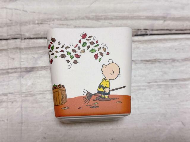 一足早く秋の雰囲気が感じられるデザイン！