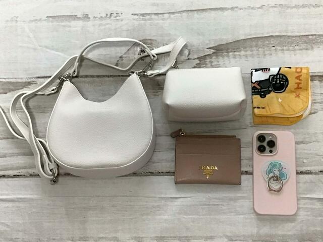 【GRL（グレイル）】ポーチに細かいものを入れ、ミニ財布やスマホ、ミニタオルは別で収納してみました