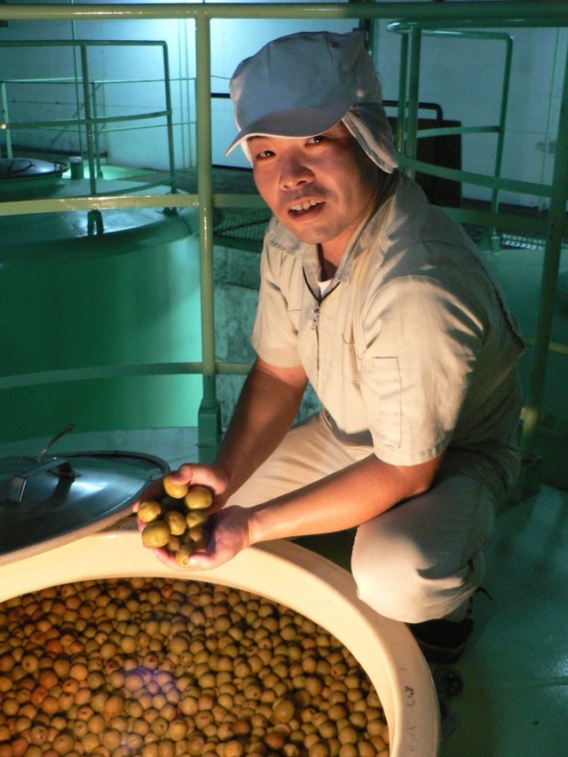 梅酒コンテストで日本一の経歴持つ梅酒杜氏の山本さん