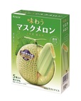 味わうマスクメロン アイスバー