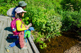 園内には生きものがいっぱいで、子どもは興味津々｜栂池自然園