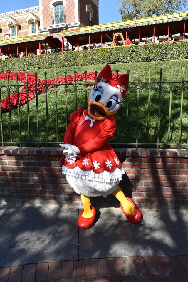 デイジーダック