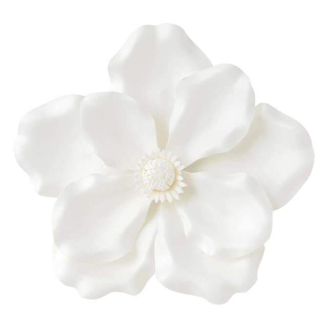 ウォールフラワー マグノリア