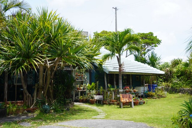 【オリエンタルホテル 沖縄リゾート&スパ】ホテル専用のミツバチの巣箱が設置されている「CALiN cafe&zakka」