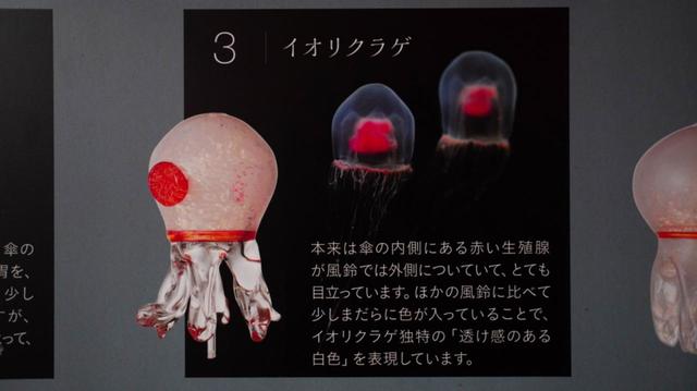 20種類、130個の“クラゲ風鈴”が織りなす涼やかな音色「くらげと風鈴」7月3日(土)開始