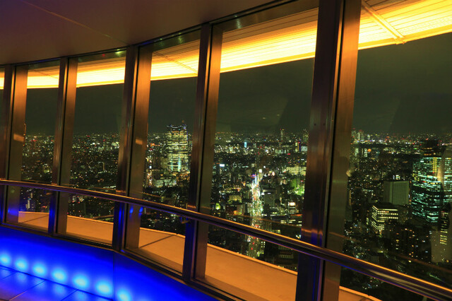 日本夜景遺産認定地:東京タワー展望台