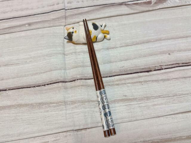 まずはお箸を置いてみました。置けた…!