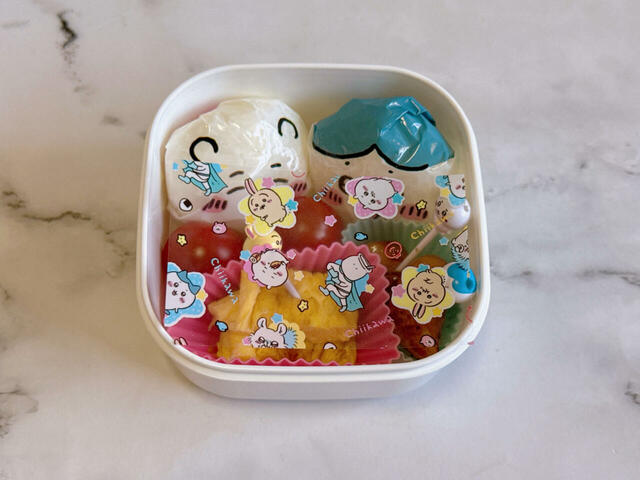 抗菌シートを乗せてみました。かわいい！