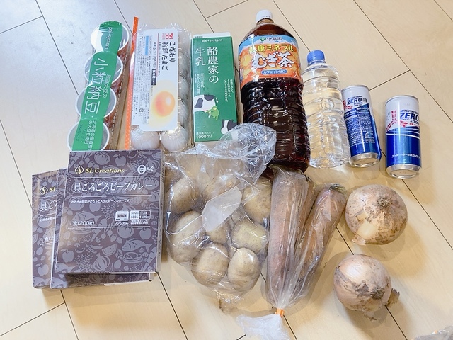 【ワークマン 撥水2WAYポケッタブルライトトート】こんなにたくさん！まとめ買いにも重宝します