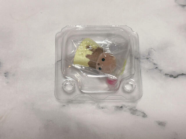 「6．ラッコの小さい赤ちゃん」が来てくれました！