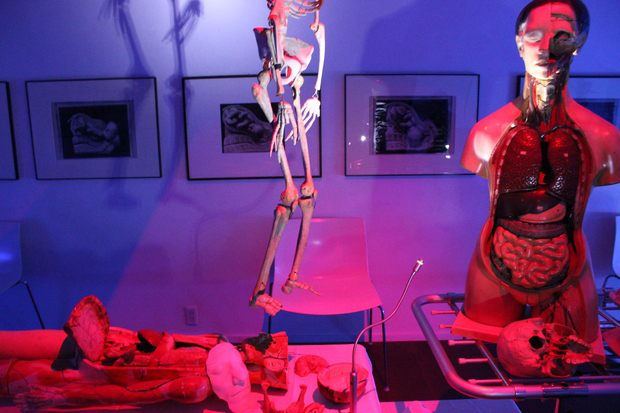 美しいけど怖い!「医療器具展」の展示物