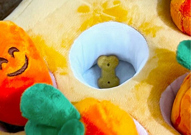 【にんじん畑】土台の畑にある穴におやつを隠します