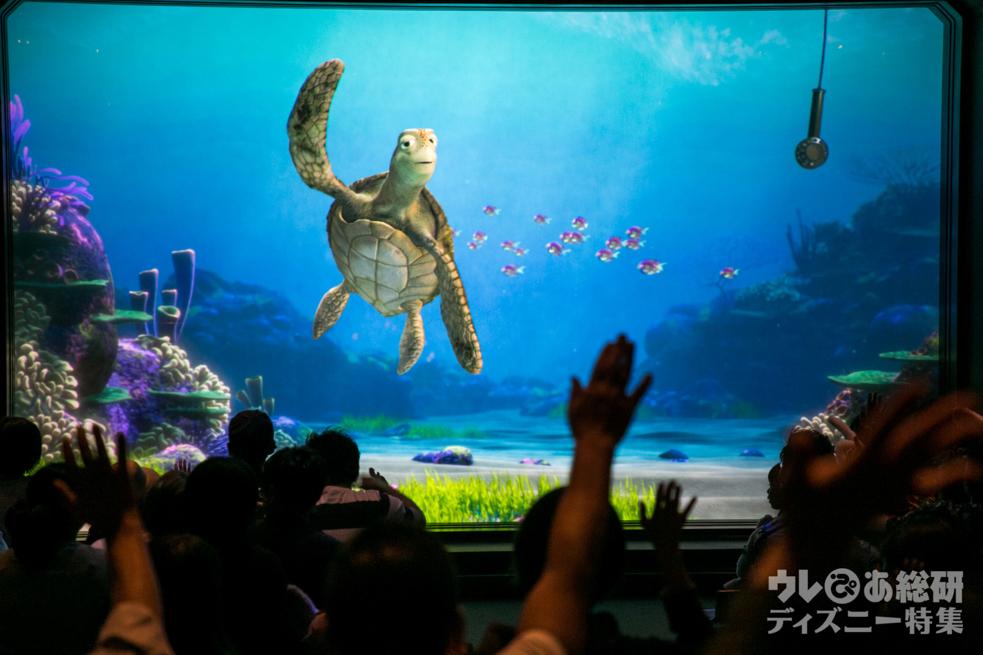 Tds速報 タートル トーク がリニューアル ファインディング ドリー のキャラクターが続々登場 写真 7 28 ディズニー特集 ウレぴあ総研