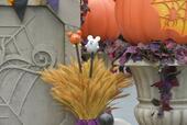 東京ディズニーリゾートのハロウィーン Ⓒ Disney