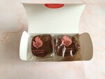 【銀のぶどう】「炎のチョコレート ショコラ・ア・ラ・フラム」2個入 648円、4個入 1,188円（税込）
