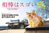 巻頭特集：「相棒はスゴい猫」
