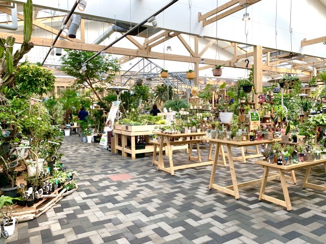 広々とした店内