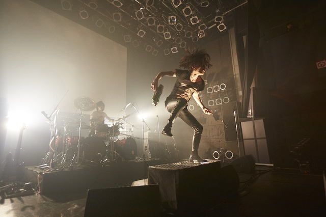 THE BLACK SWAN　樹